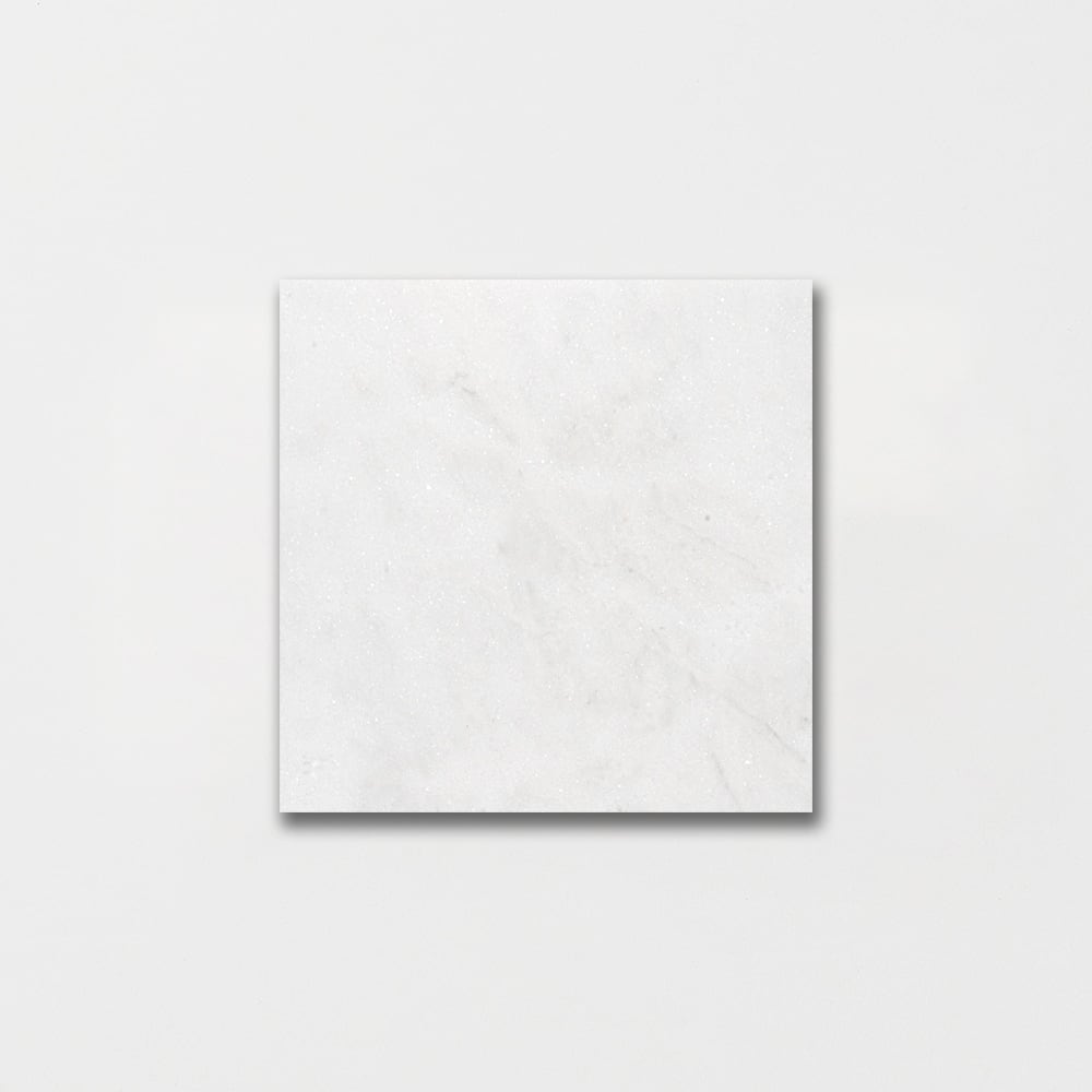 Calacatta T Honed Marble Tile