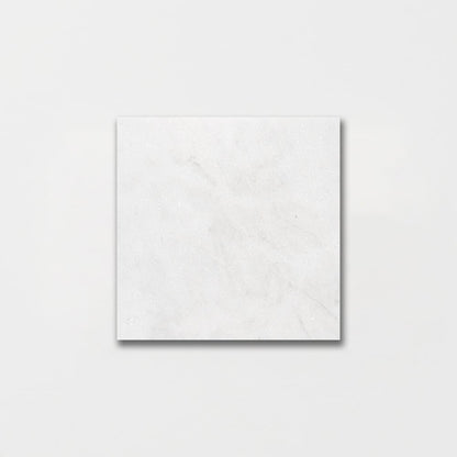 Calacatta T Honed Marble Tile