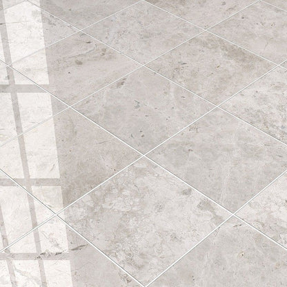 Silver Mystique Polished Marble Tile