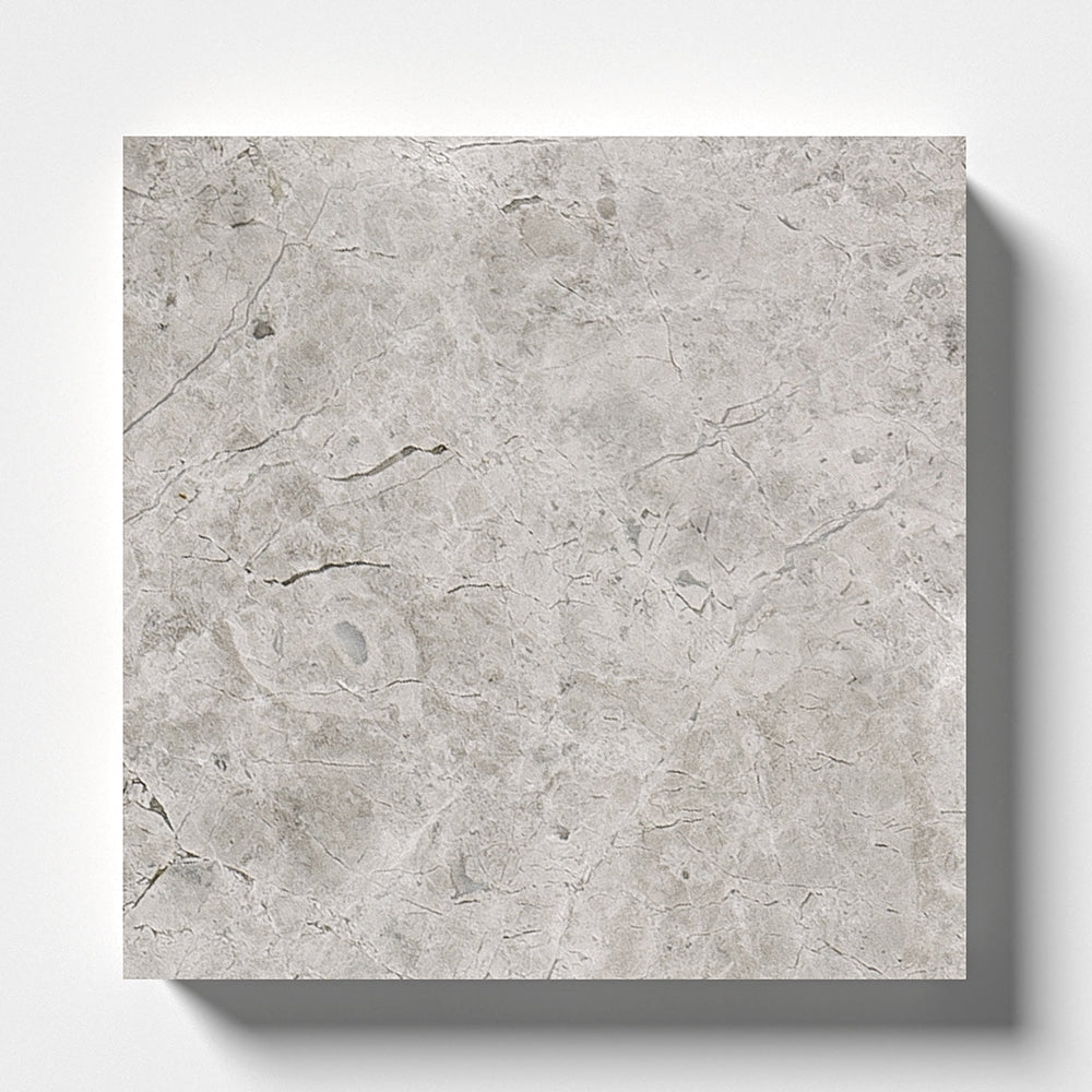Silver Mystique Polished Marble Tile