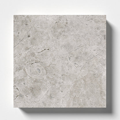 Silver Mystique Polished Marble Tile