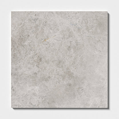 Silver Mystique Polished Marble Tile