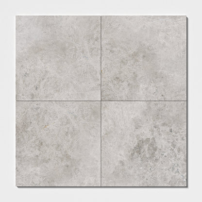 Silver Mystique Polished Marble Tile