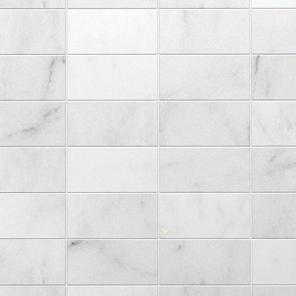 Calacatta T Honed Marble Tile
