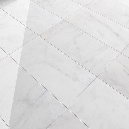 Carrara T Polished Marble Tile