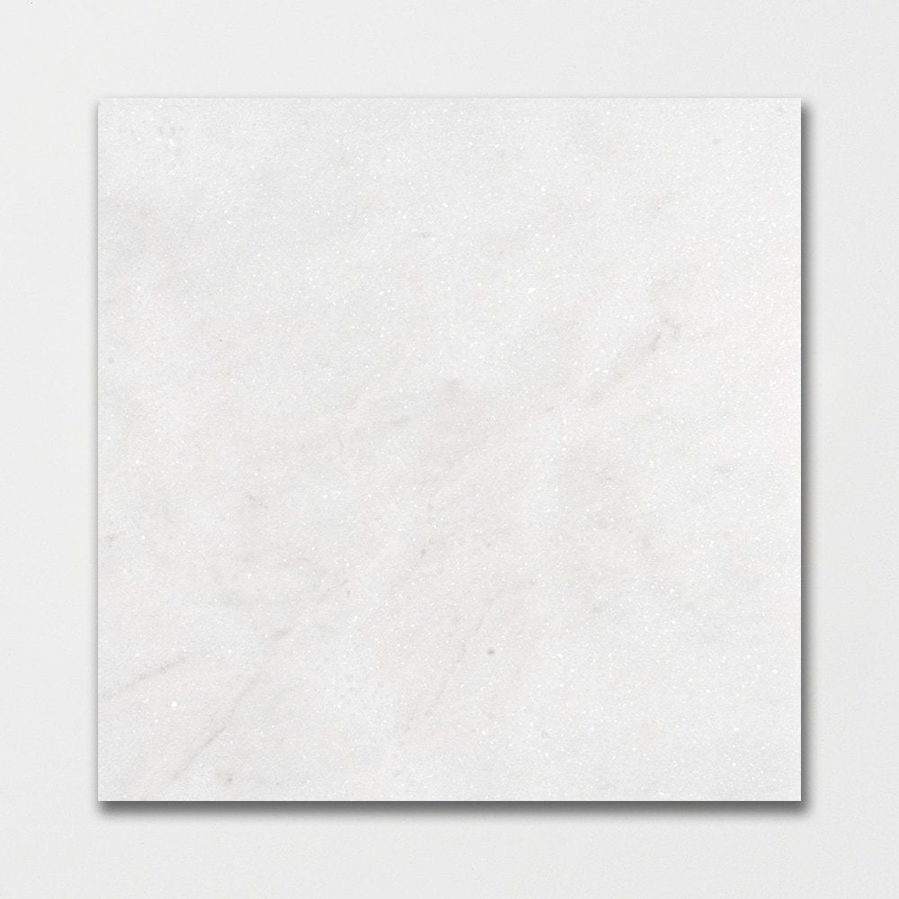 Calacatta T Honed Marble Tile