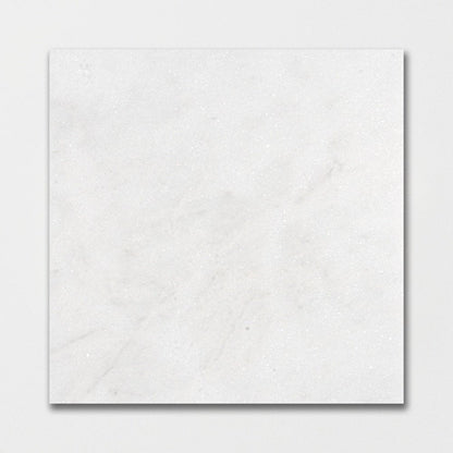 Calacatta T Honed Marble Tile