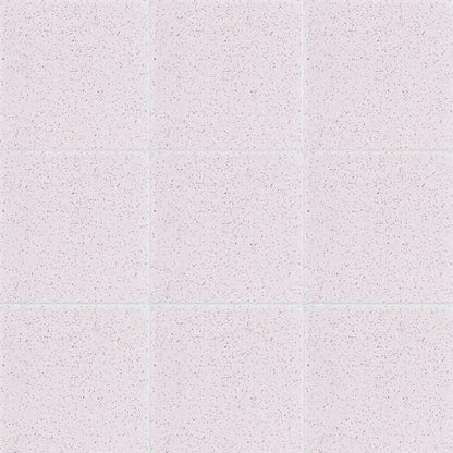 Soft Matte Terrazzo Tile