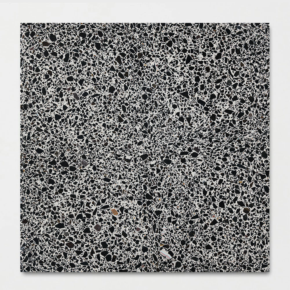 Bold Honed Terrazzo Tile