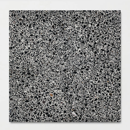 Bold Honed Terrazzo Tile