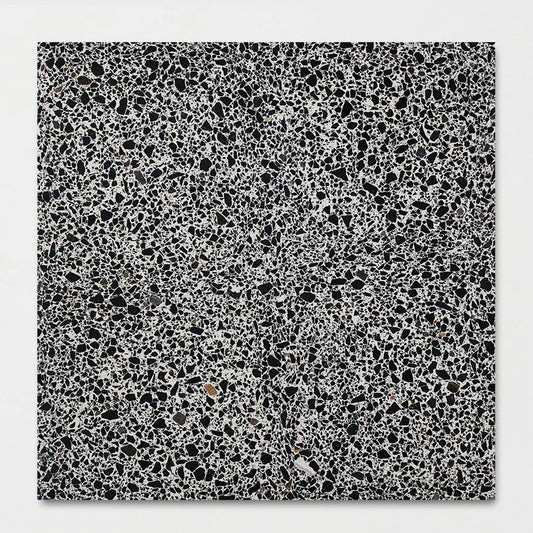 Bold Honed Terrazzo Tile