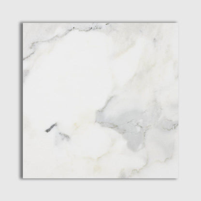 Calacatta Gold Honed Marble Tile