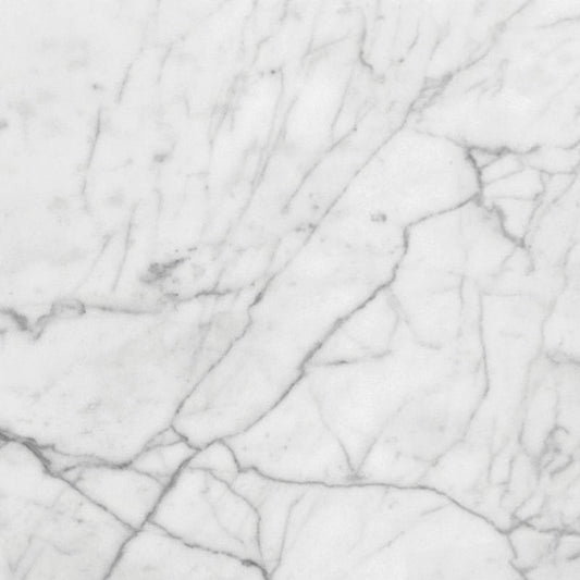 White Carrara Honed Marble Tile