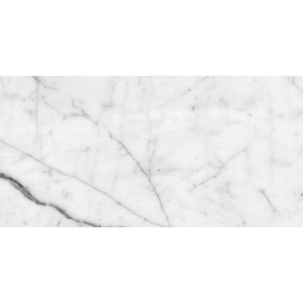 White Carrara Honed Marble Tile