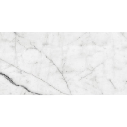 White Carrara Honed Marble Tile