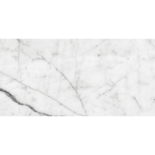 White Carrara Honed Marble Tile
