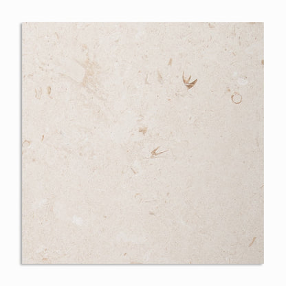 Shell Reef Tumbled Limestone Pavers