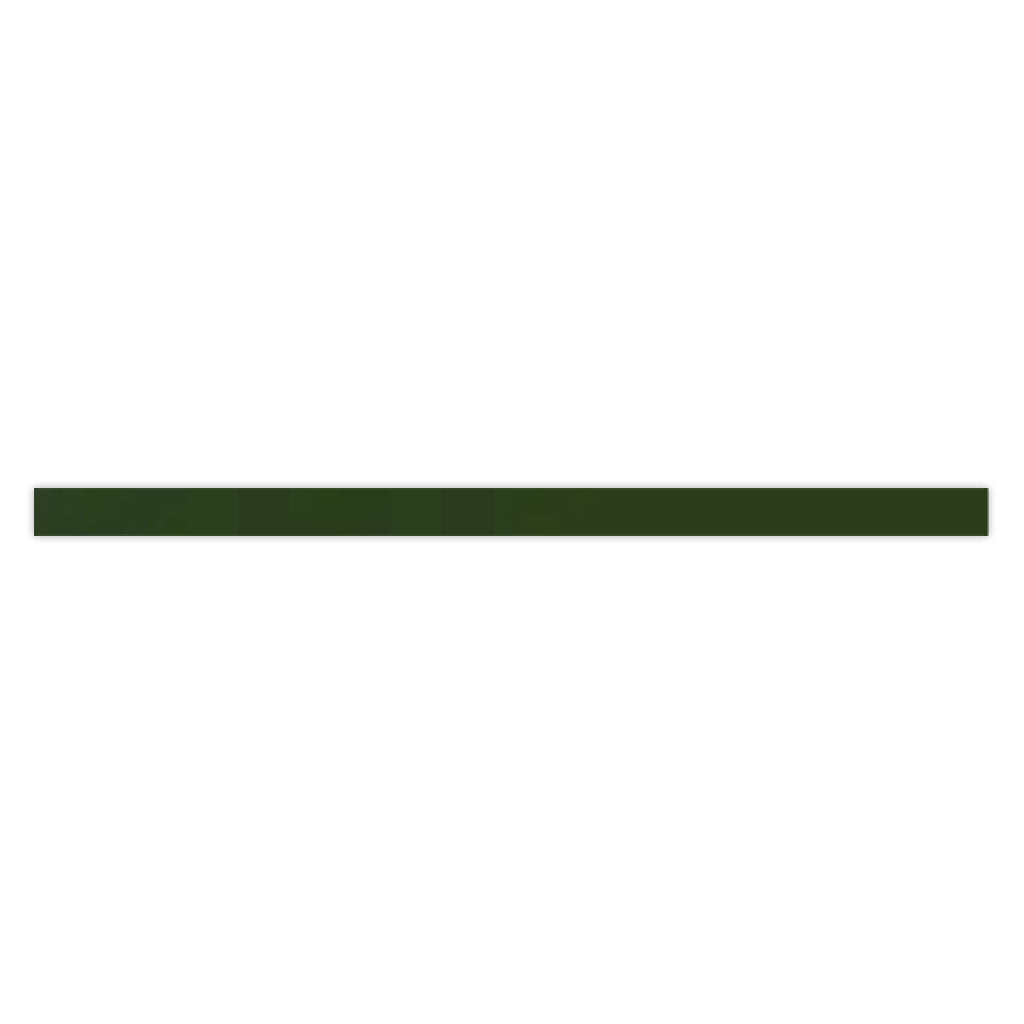 Deep Forest Green 0.6x12 Glossy Porcelain Bullnose Tile Trim (10 pack, 0.5 sq ft/case) - Sample