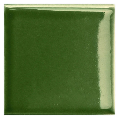 Deep Forest Green 2x2 Glossy Square Porcelain Tile (50 pack, 0.86 sq ft/case)