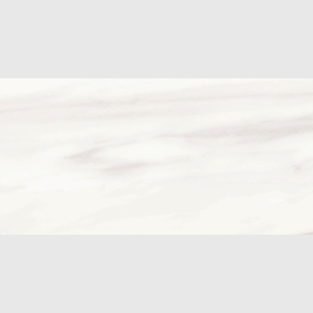 Carrara Venato Matte Porcelain Tile