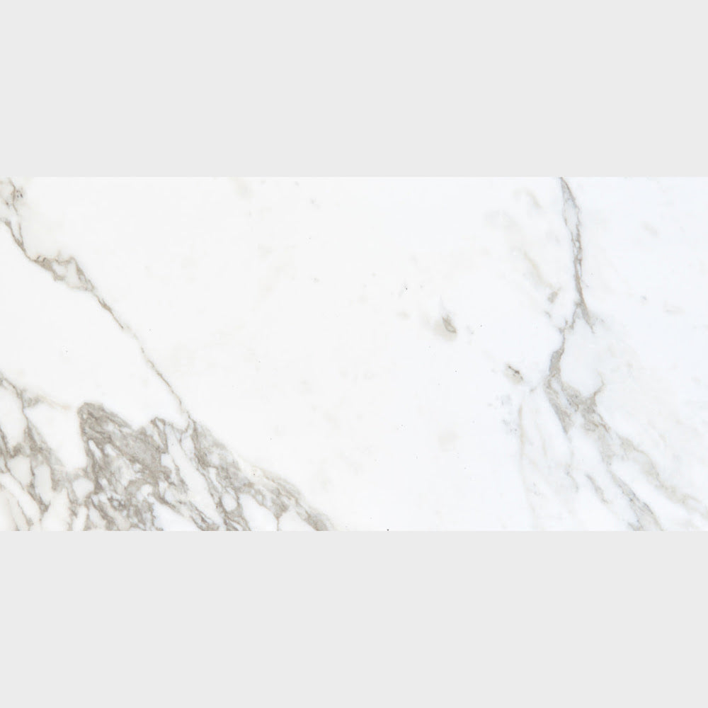 Carrara Arabescato Matte Porcelain Tile