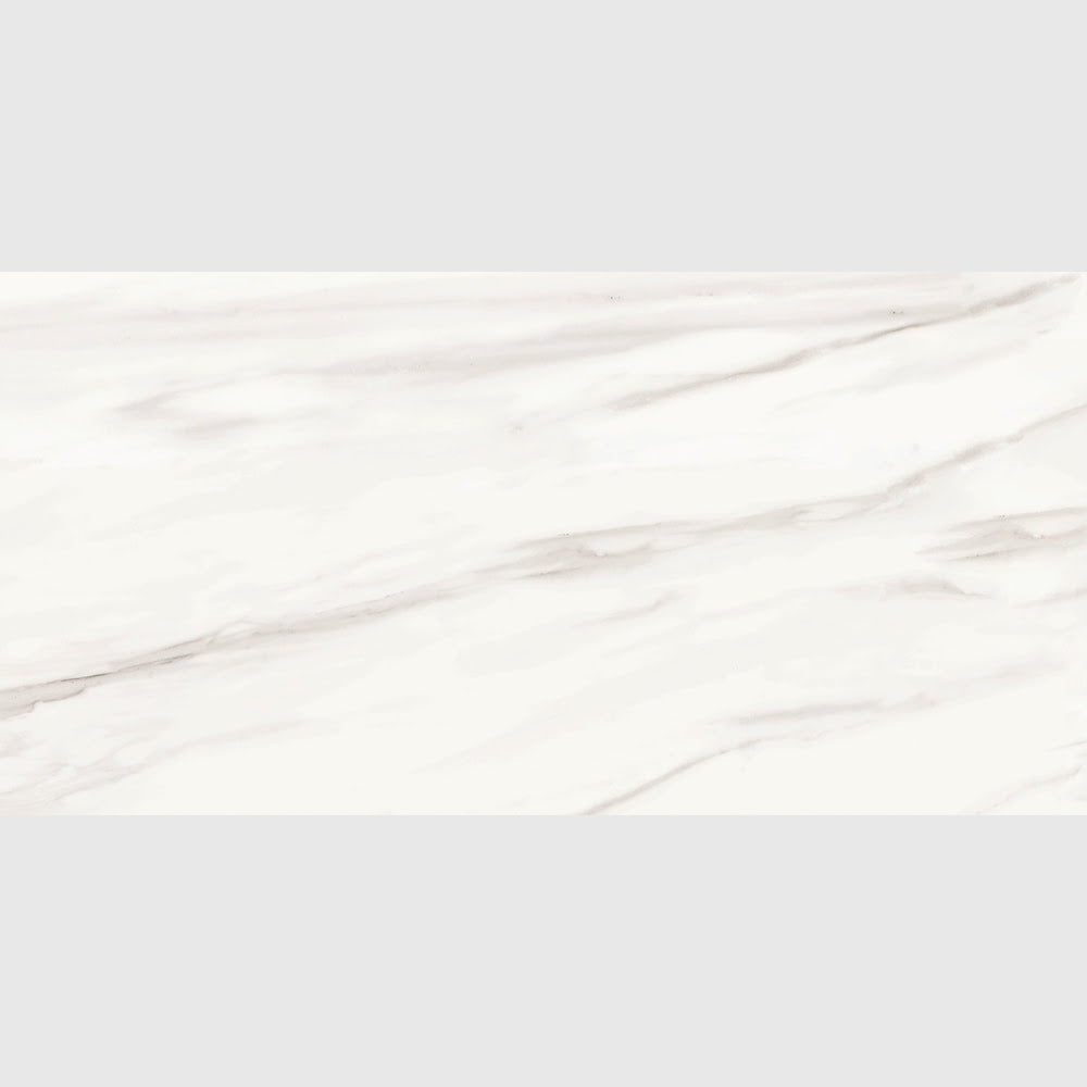 Carrara Venato Matte Porcelain Tile