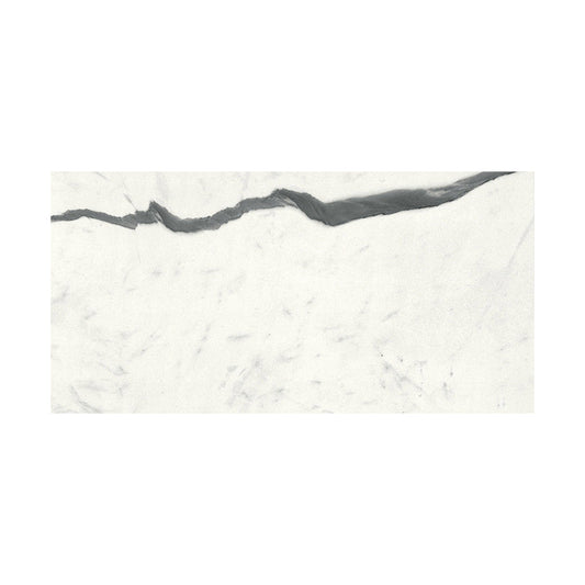 Bianco S Matte Marble Look Porcelain Tile