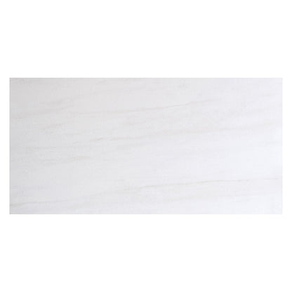 Artica Matte Marble Look Porcelain Tile
