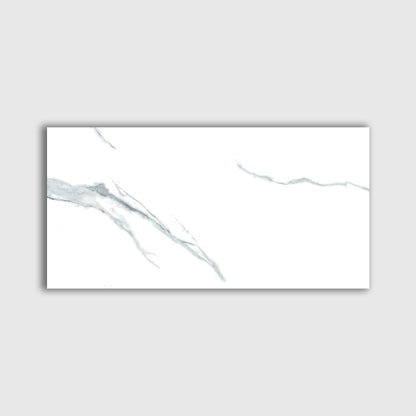 Estatuario Polished Marble Look Porcelain Tile