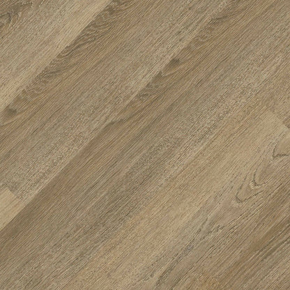 MSI Acclima®Ayla™Luxury Vinyl Planks