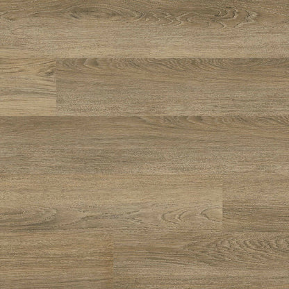 MSI Acclima®Ayla™Luxury Vinyl Planks
