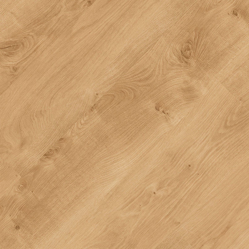 MSI Acclima®Mt Sande™Luxury Vinyl Planks