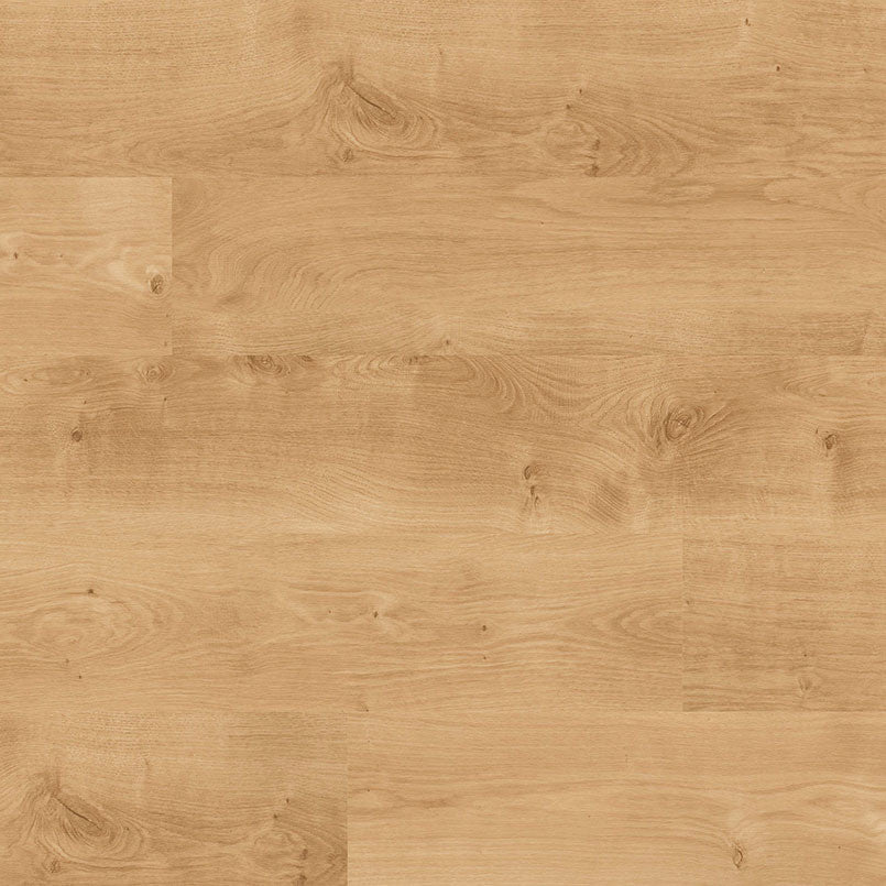 MSI Acclima®Mt Sande™Luxury Vinyl Planks