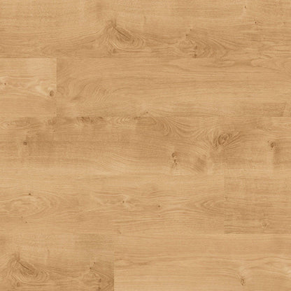 MSI Acclima®Mt Sande™Luxury Vinyl Planks