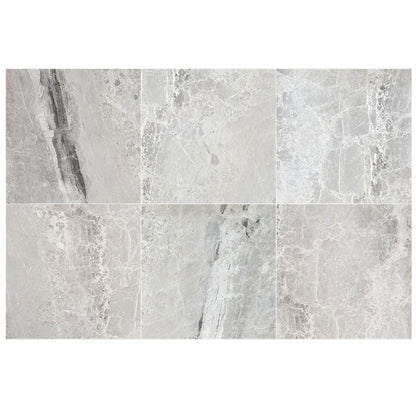 Agora Royal Gray Marble Polished Floor and Wall Tile