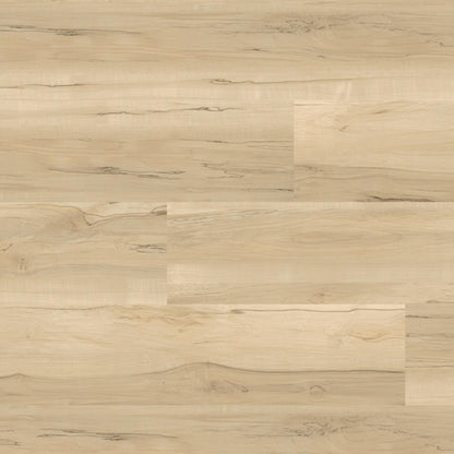 MSI NOVE AKADIA®Luxury Vinyl Planks