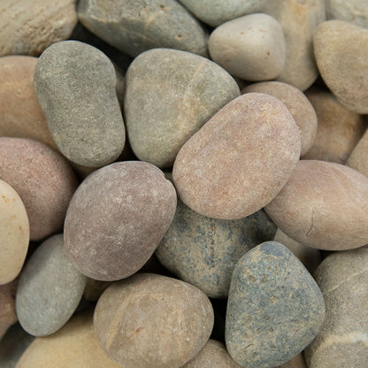 MSI Amazon Multi Pebbles