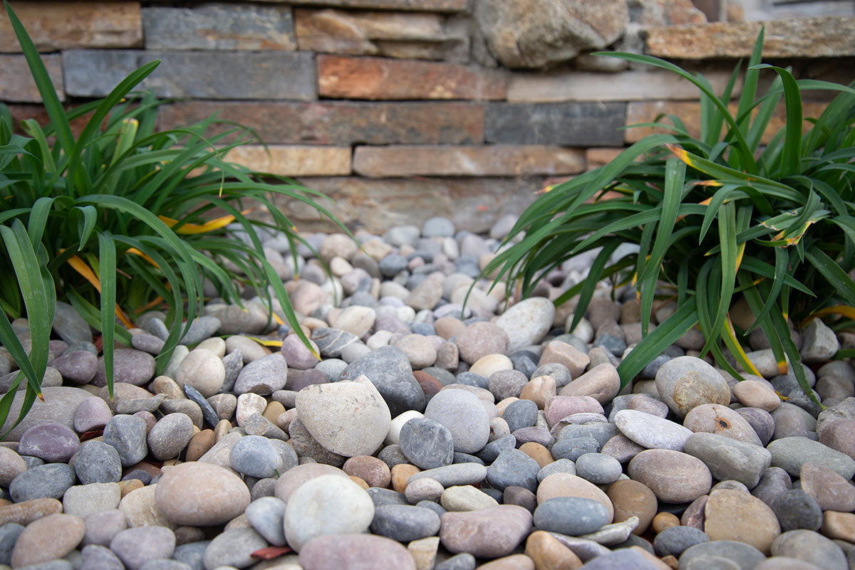 MSI Amazon Multi Pebbles