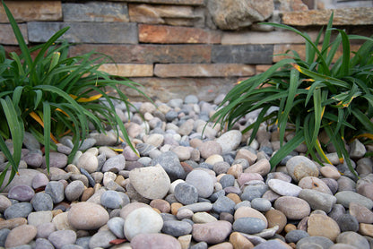 MSI Amazon Multi Pebbles