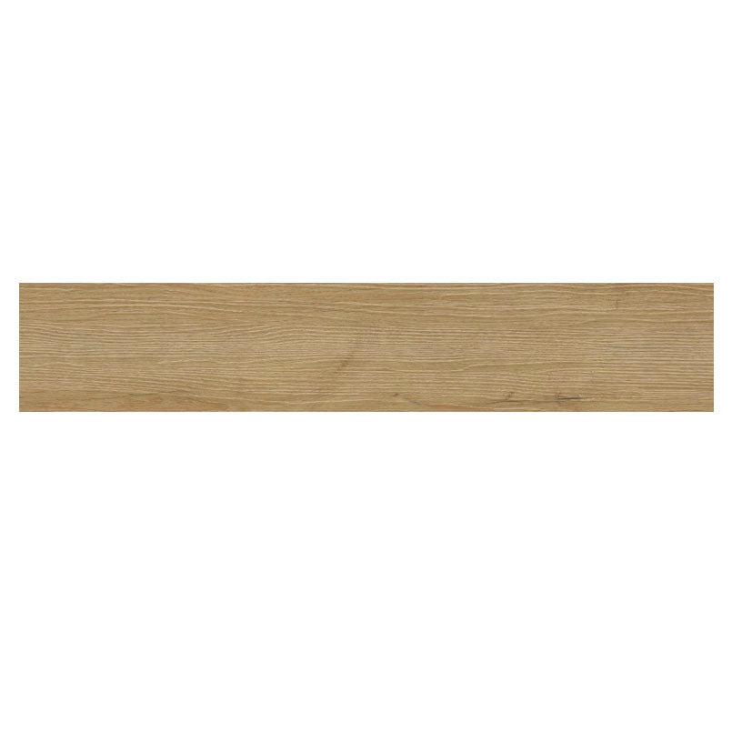 MSI AMBER FORRESTER Luxury Vinyl Plank