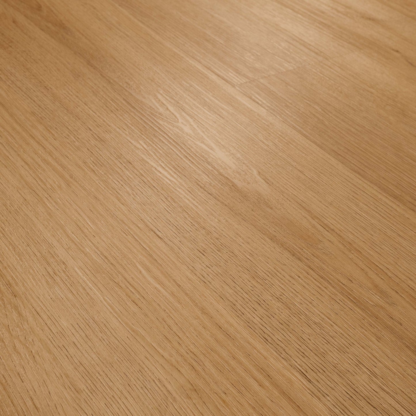 MSI AMBER FORRESTER Luxury Vinyl Plank