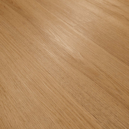 MSI AMBER FORRESTER Luxury Vinyl Plank