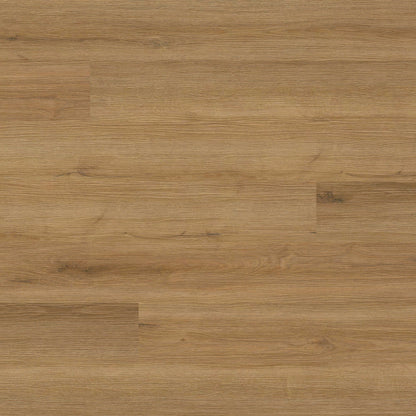 MSI AMBER FORRESTER Luxury Vinyl Plank