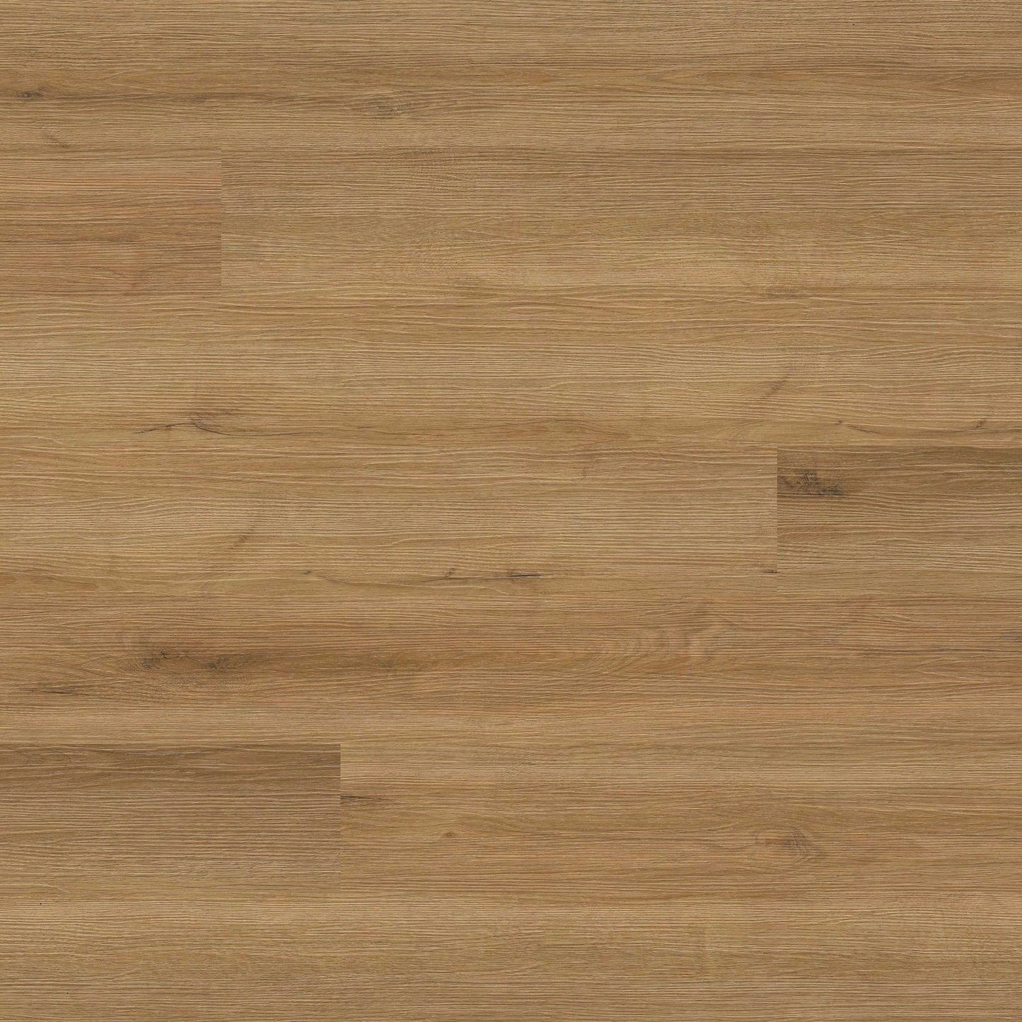 MSI Amber Forrester Luxury Vinyl Planks
