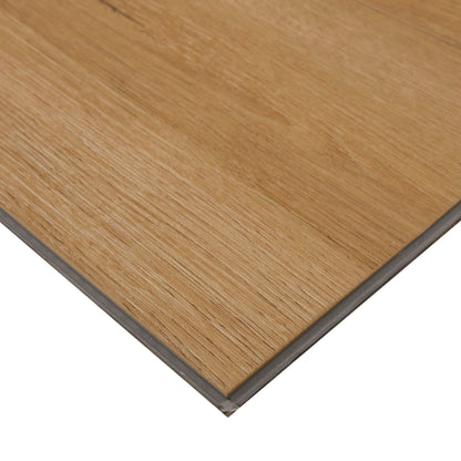 MSI Amber Forrester Luxury Vinyl Planks