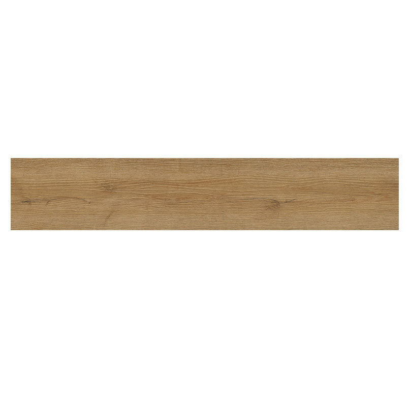 MSI Amber Forrester Luxury Vinyl Planks