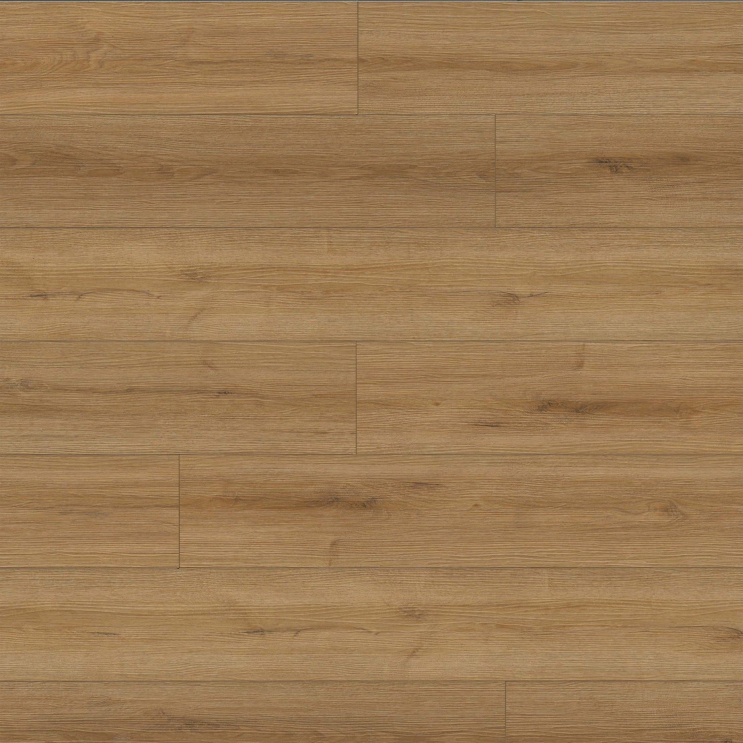 MSI Amber Forrester Luxury Vinyl Planks