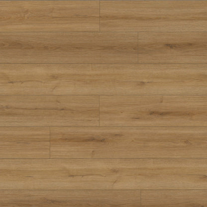 MSI Amber Forrester Luxury Vinyl Planks