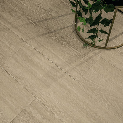 MSI Wayne Parc™Andaz™Luxury Vinyl Planks