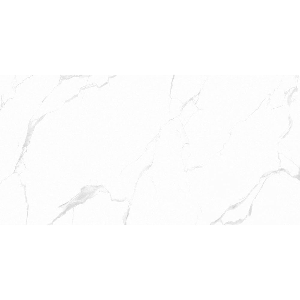 Anka classic carrara silver matte rectified porcelain wall and floor tile size 24"x48" SKU-165334 top view